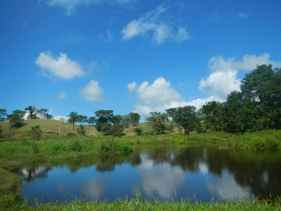 Town and Country Pacific Lake